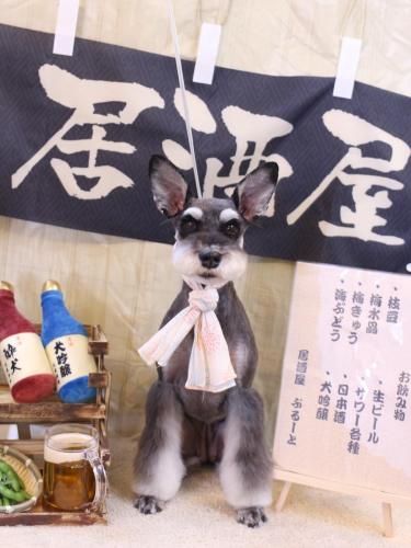 20240608ニーナちゃん